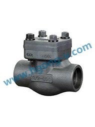 API forged Swing/Lift Check Valve