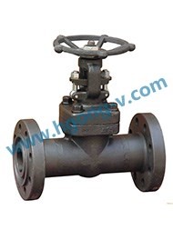 API forged steel Flanged Gate Valve