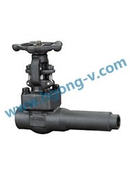 API forged weld excellent welded Gate Valve