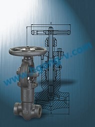 API Forged Pressure Seal Welded globe Valve