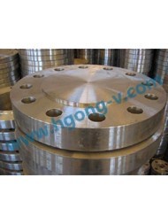 API stainless steel Blind flange